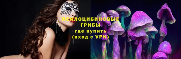 прущие крисы Алзамай