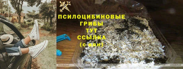 шишки Алексеевка