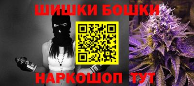 индика Дубна