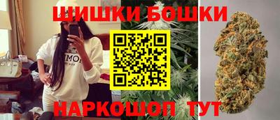 индика Дубна