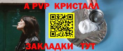 индика Дубна