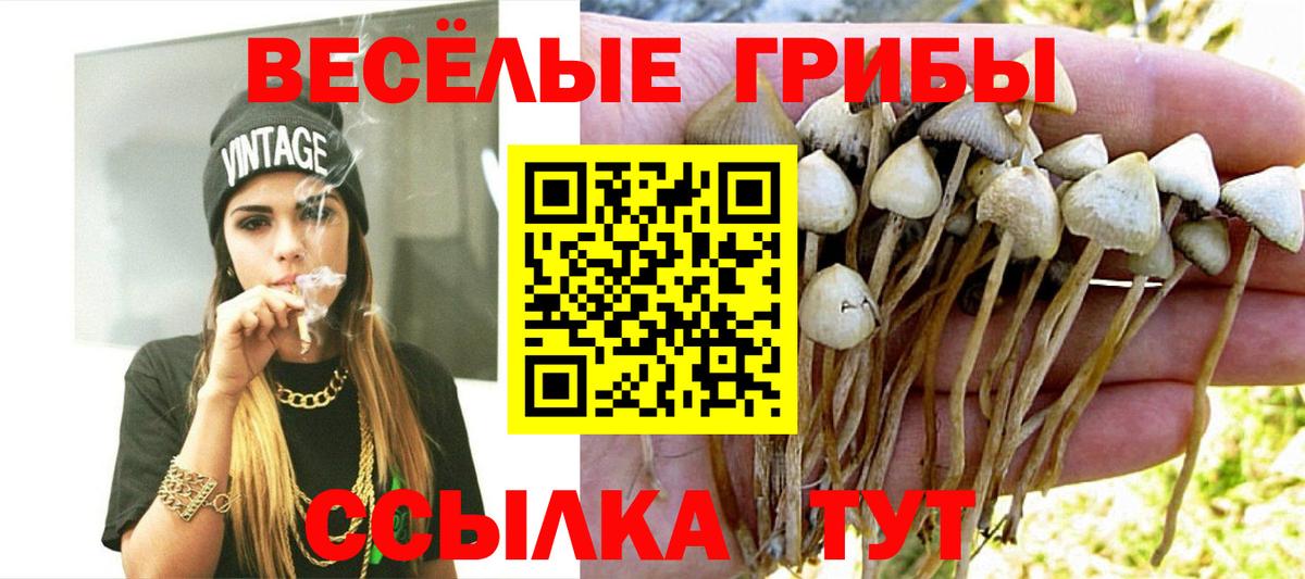 Меф кристаллы  Новошахтинск  НБОМе  Вход с VPN  Бошки Шишки  Бошки Шишки  ГАШИШ 