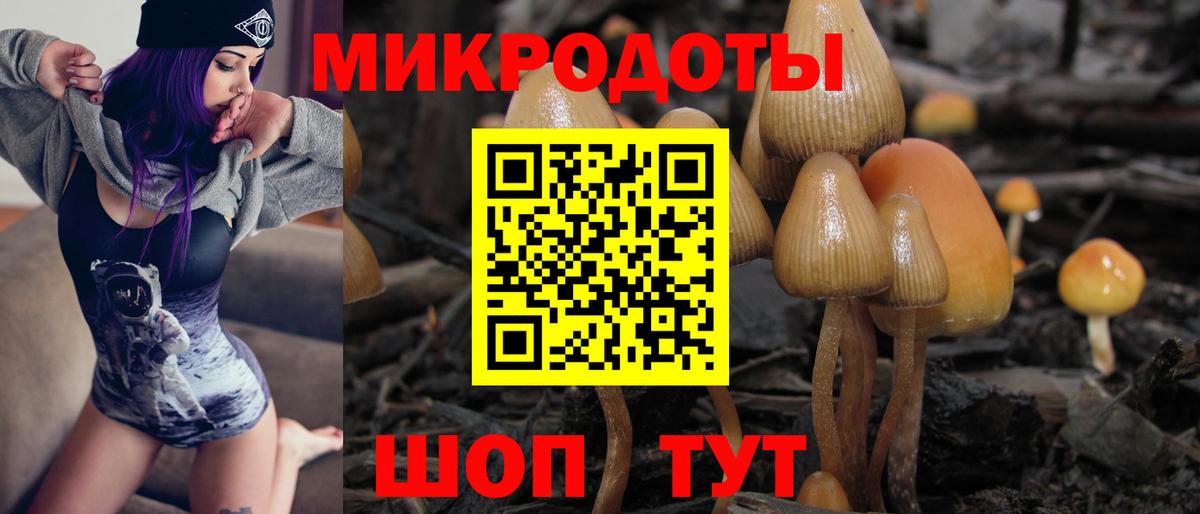 Новошахтинск  где продают наркотики  Вход с VPN  Галлюциногенные грибы MAGIC MUSHROOMS 
